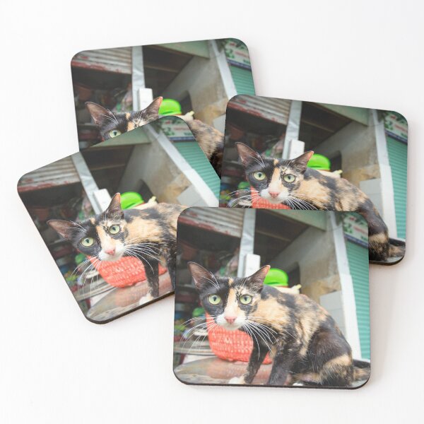 Item preview, Asian Market Calico Cat designed and sold by Kevin Miller Photography.