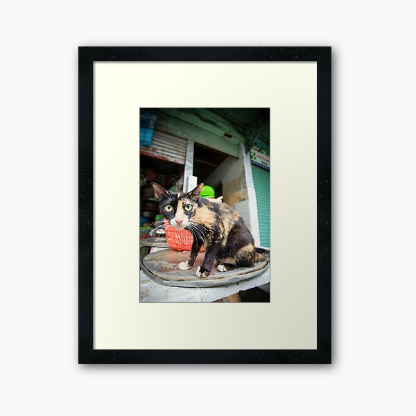 Vista previa del artículo con la obra « Vietnam.», diseñado y vendido por Kevin Miller Photography.