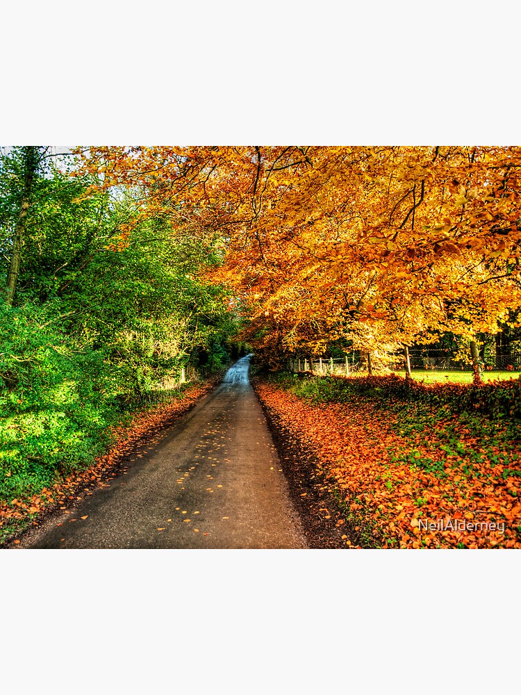 Autumn Road by NeilAlderney