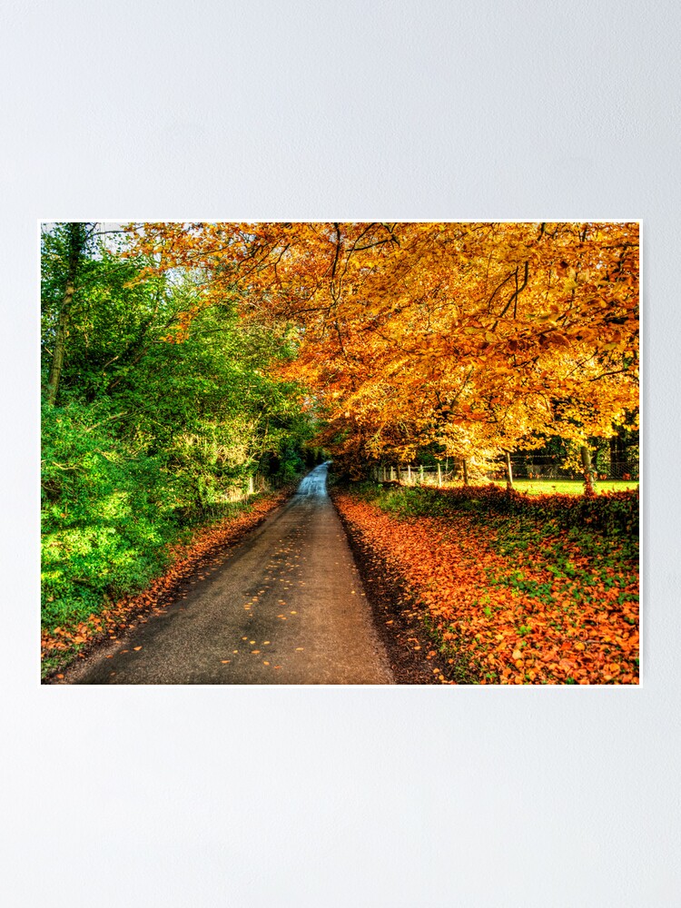 Alternate view of Autumn Road Poster