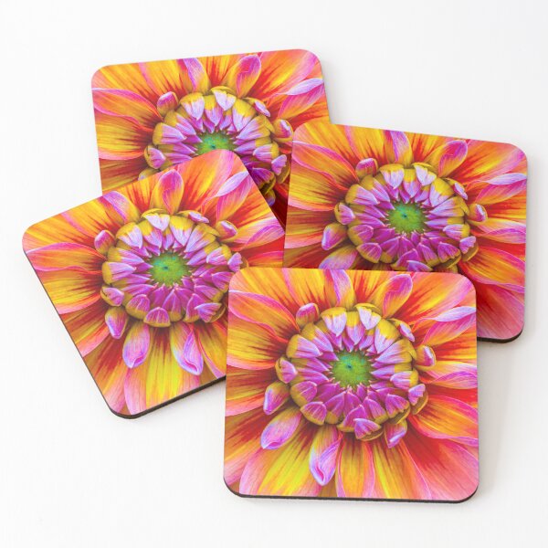 Item preview, Dahlia designed and sold by alan shapiro.