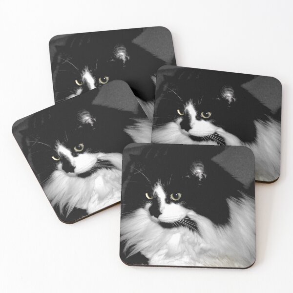 Item preview, black and white cat designed and sold by Barry W  King.