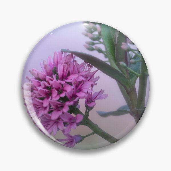 Item preview,  Hebe. designed and sold by John Ray.