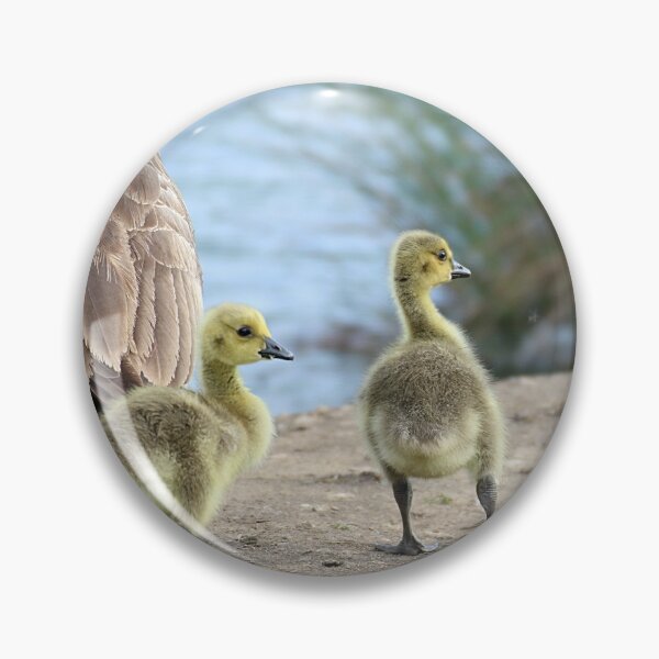 Item preview, new life designed and sold by tammy mellor.