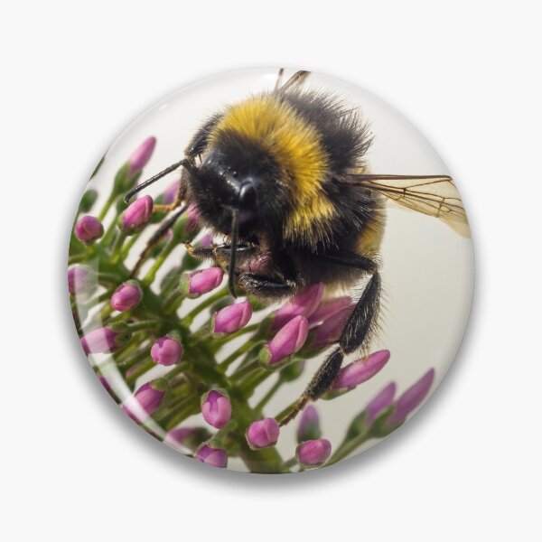 Item preview,  Hebe and Bumblebee. designed and sold by John Ray.