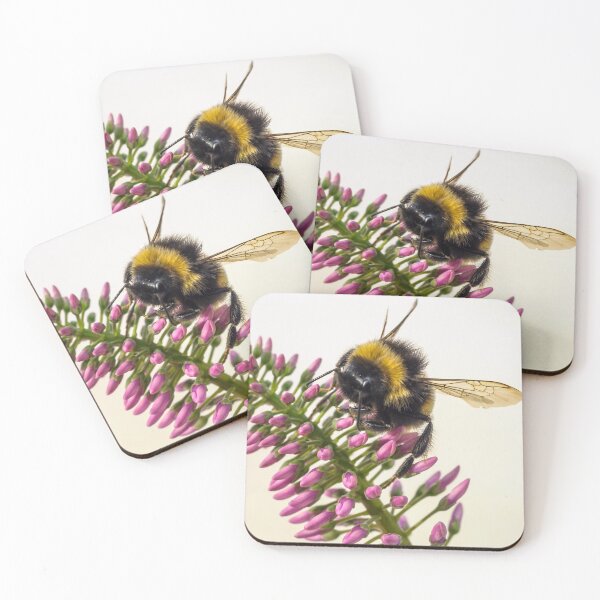 Item preview,  Hebe and Bumblebee. designed and sold by John Ray.