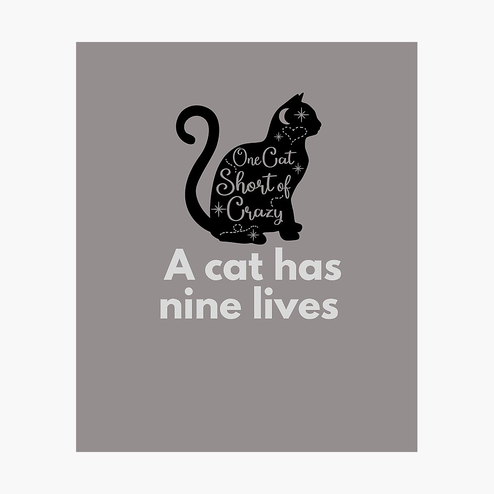 a cat has nine lives