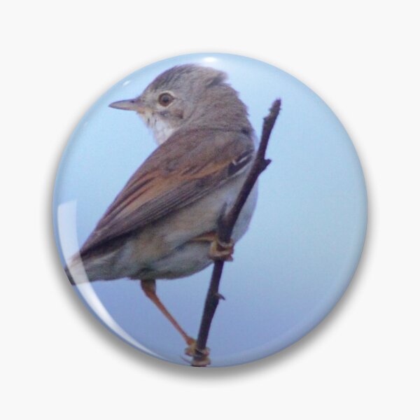 Item preview, Fledgling Whitethroat designed and sold by dbrDurham.