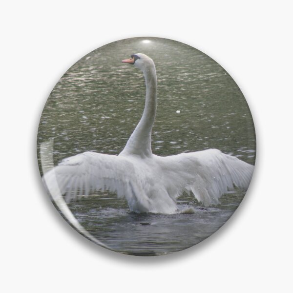 Item preview, Swan with Outstretched Wings Photograph designed and sold by naturegallery.