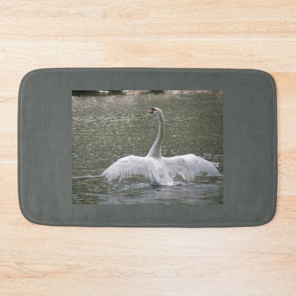 Item preview, Swan with Outstretched Wings Photograph designed and sold by naturegallery.