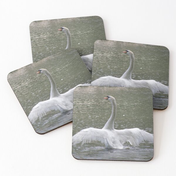 Item preview, Swan with Outstretched Wings Photograph designed and sold by naturegallery.