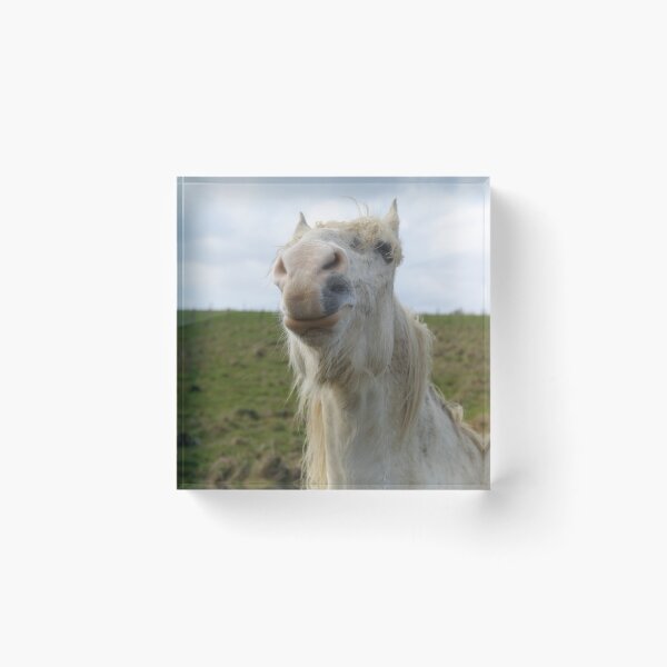 Item preview, Portrait de cheval de camargue blanc dans le pré designed and sold by EstelleRossetti.