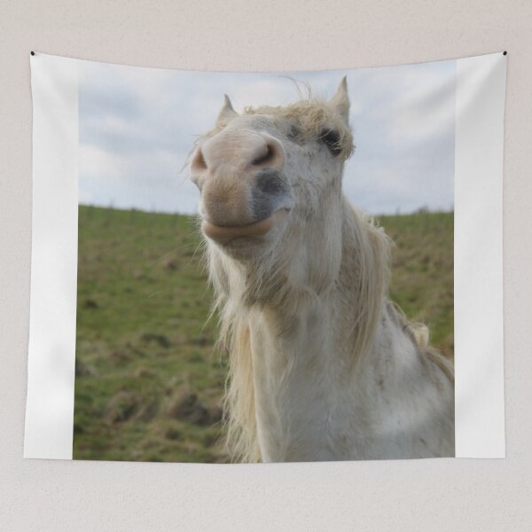 Item preview, Portrait de cheval de camargue blanc dans le pré designed and sold by EstelleRossetti.