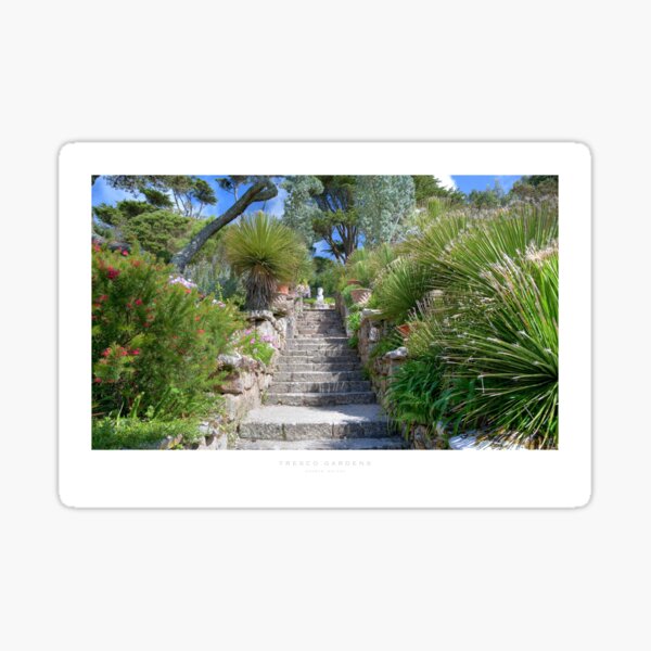 Tresco, Isles of Scilly Sticker