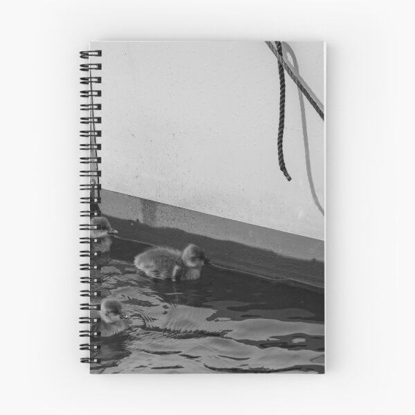 Item preview, Baby goslings on the River Bure, Horning designed and sold by yackers1.
