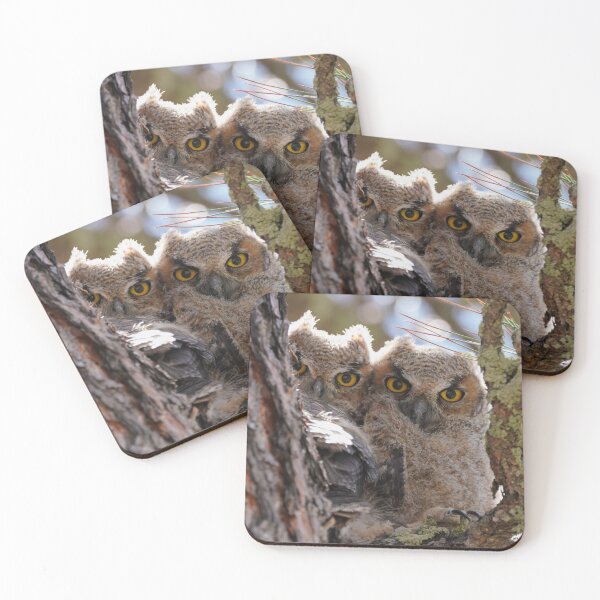 Item preview, Baby Great Horned Owls designed and sold by MomentofPercep.