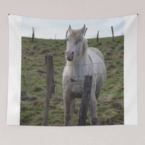 Item preview, White camargue horse portrait in the meadow	 designed and sold by EstelleRossetti.