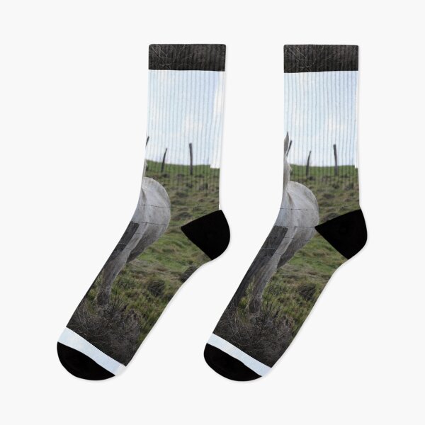Item preview, White camargue horse portrait in the meadow	 designed and sold by EstelleRossetti.