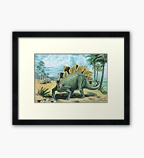 Stegosaurus Framed Print