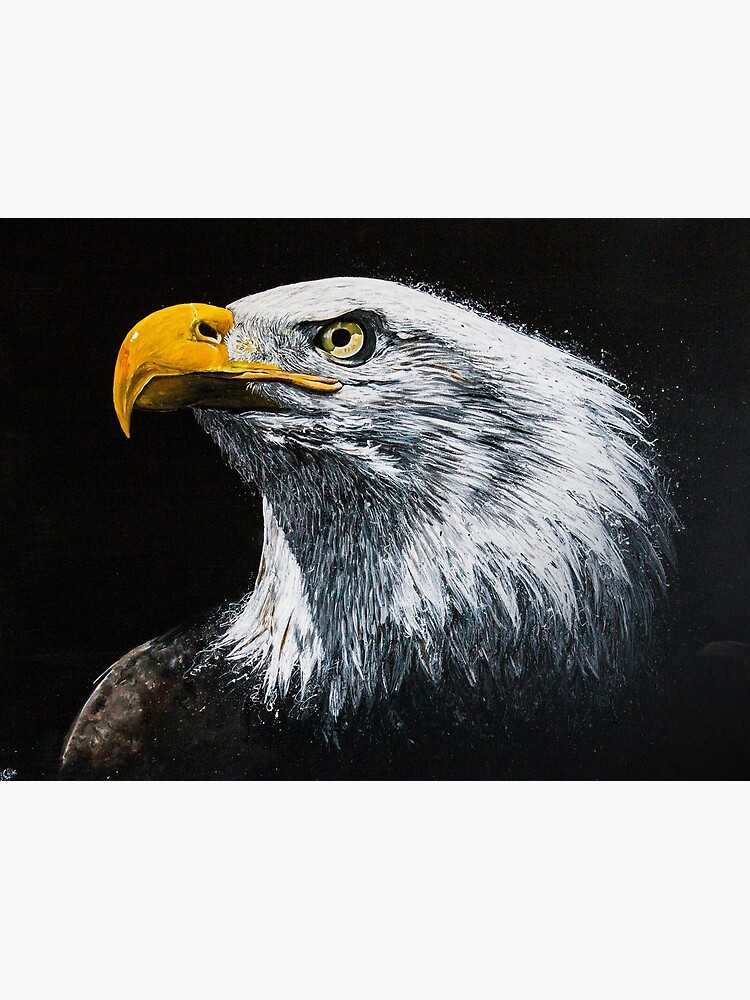 Bald Eagle by handonart-com
