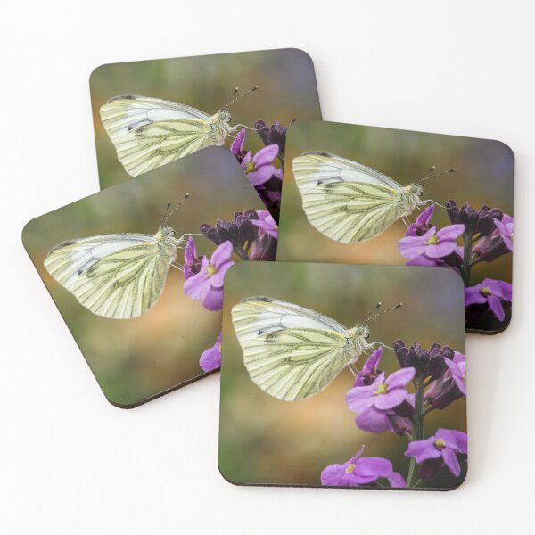 Item preview,  Green Veined White Butterfly, designed and sold by John Ray.