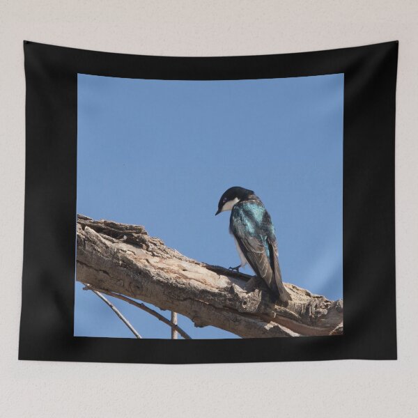 Item preview, Tree Swallow designed and sold by CarolM.