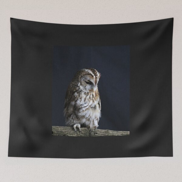 Item preview, tawny owl designed and sold by tammy mellor.