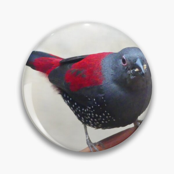 Item preview, COOL LOVELY DOVE DESIGNS designed and sold by VividThreadsDesignStudio.