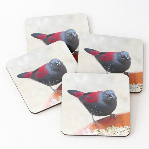 Item preview, COOL LOVELY DOVE DESIGNS designed and sold by VividThreadsDesignStudio.
