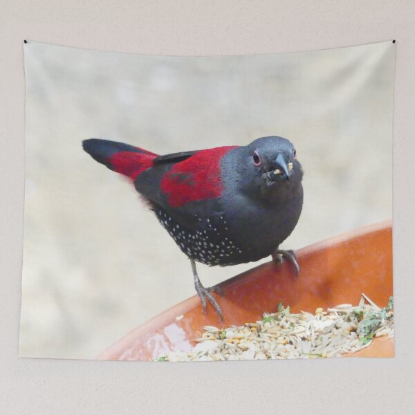 Item preview, COOL LOVELY DOVE DESIGNS designed and sold by VividThreadsDesignStudio.
