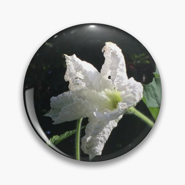 Artikelvorschau, White Squash Flower entworfen und verkauft von Linnys-Designs.