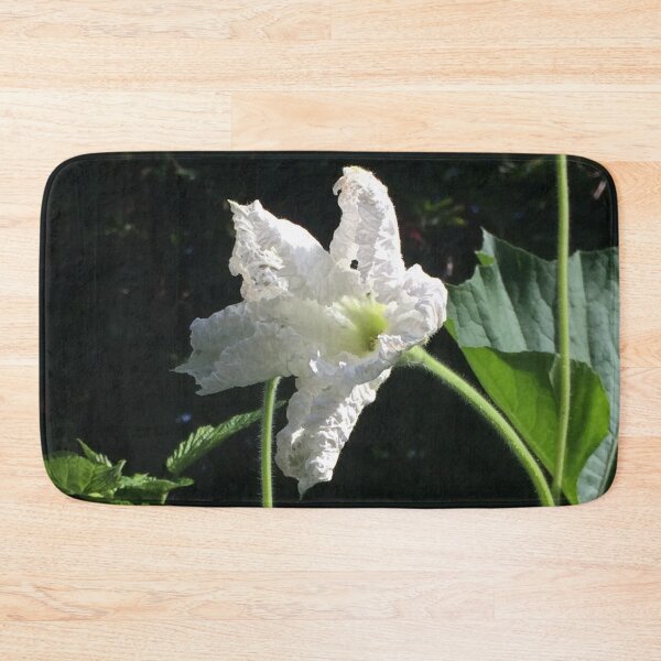 Artikelvorschau, White Squash Flower entworfen und verkauft von Linnys-Designs.