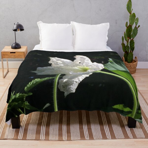Artikelvorschau, White Squash Flower entworfen und verkauft von Linnys-Designs.