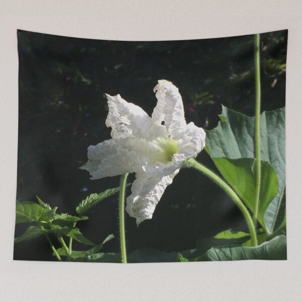 Artikelvorschau, White Squash Flower entworfen und verkauft von Linnys-Designs.