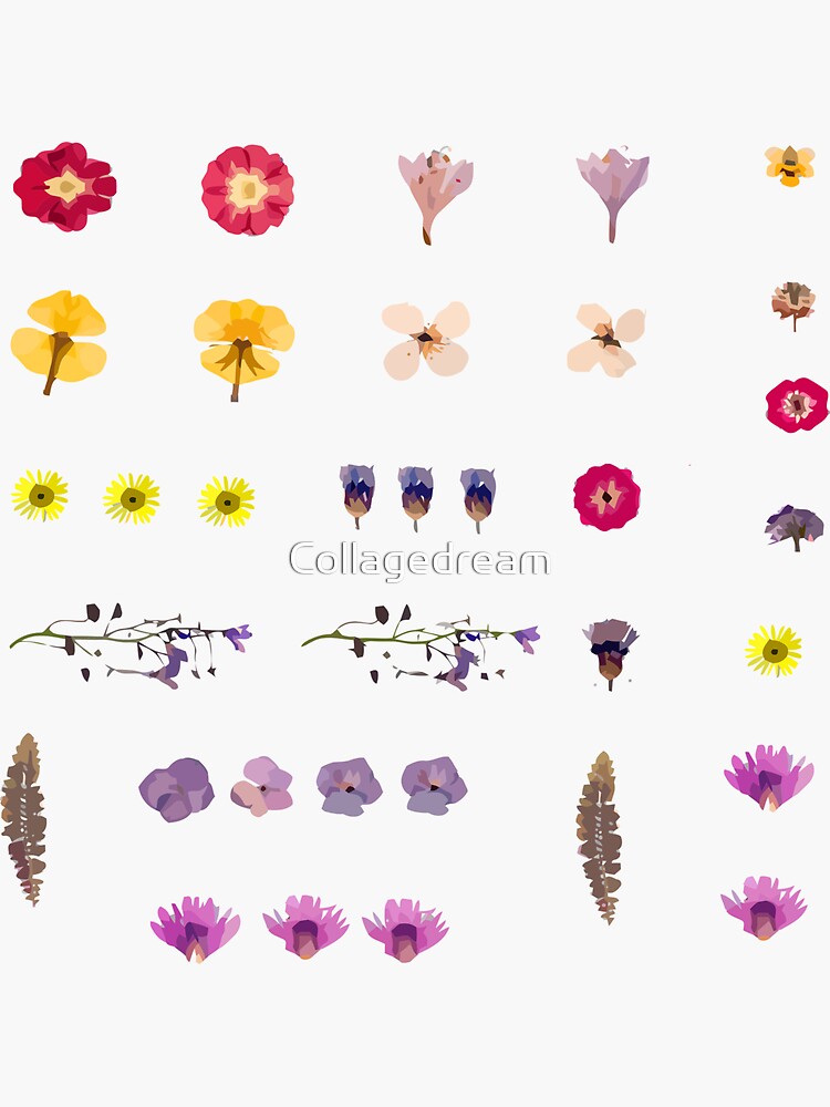 " Pressed flowers, dry, dried flower Mask" Sticker by Collagedream