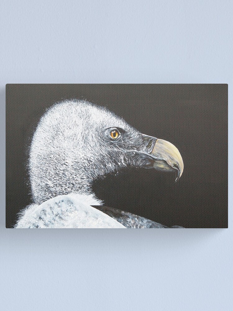 Alternate view of Vulture Canvas Print
