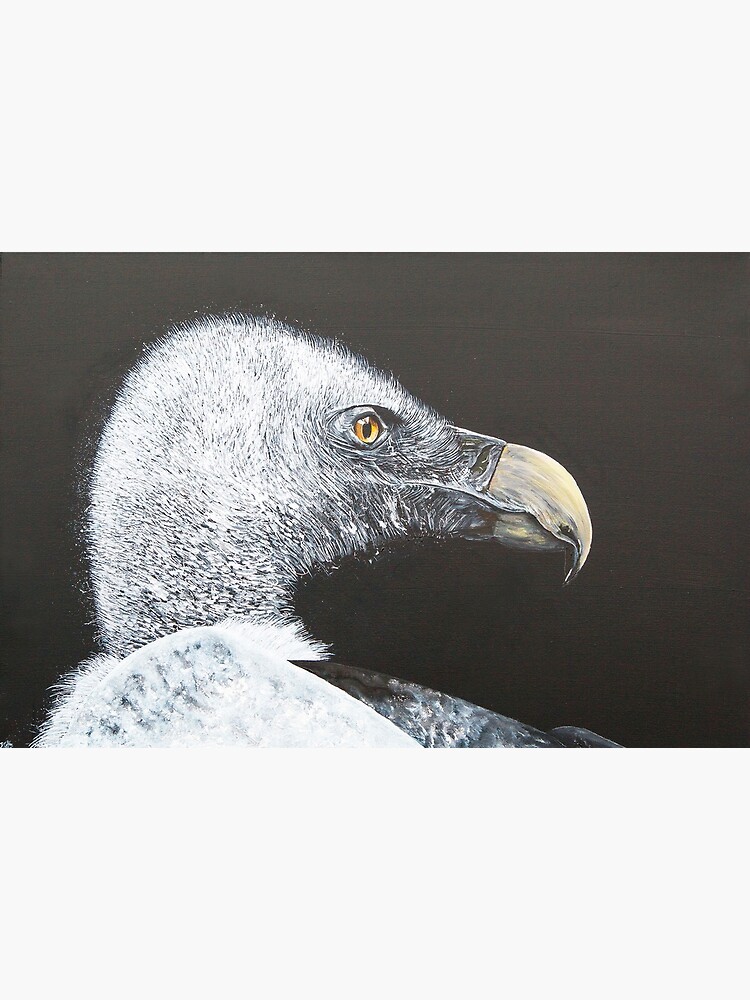Vulture by handonart-com