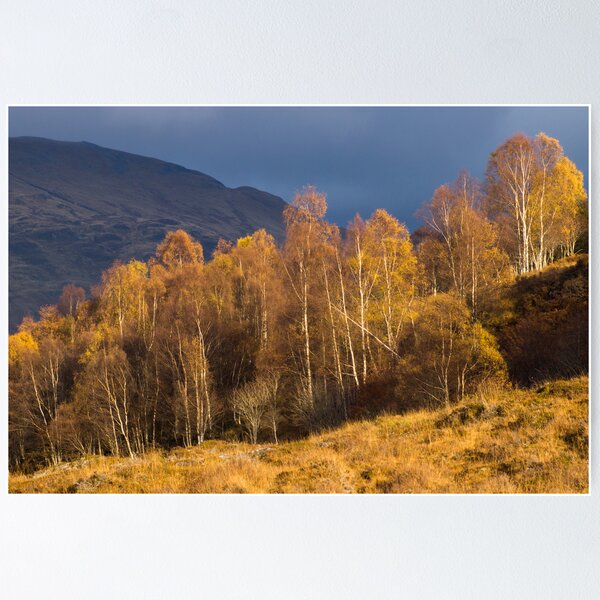 Item preview, Light in Glen Lyon, Perthshire, Scotland designed and sold by Cliff Williams.