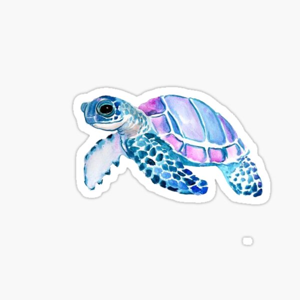 Download Baby Sea Turtle Sticker By Katherineshek Redbubble