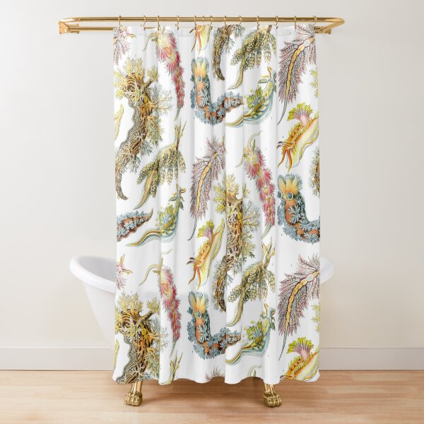 Ernst Heinrich Philipp August Haeckel Shower Curtain