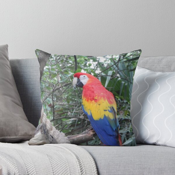 Item preview, Colorful Bird  designed and sold by momboy.