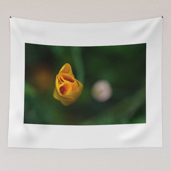 Item preview, Folds designed and sold by KGibbs.