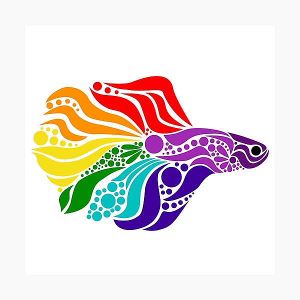 Item preview, Betta Fish - Rainbow designed and sold by arturekdesign.