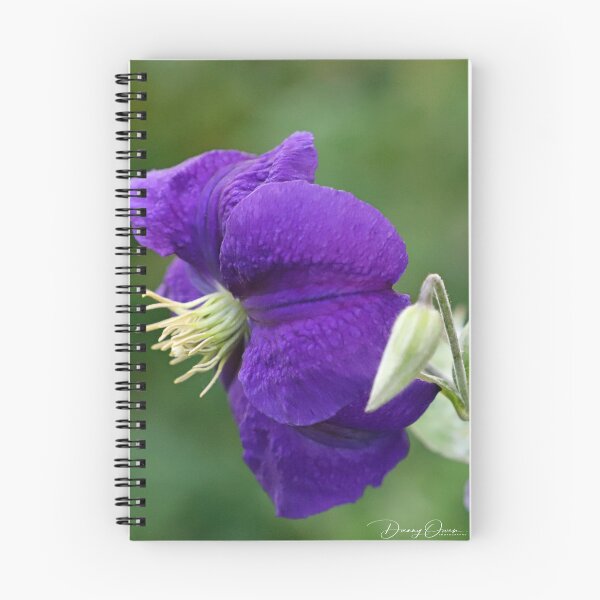 Item preview, Purple Flower designed and sold by Danny5.