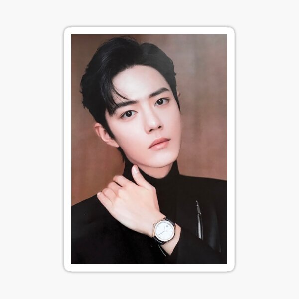 xiao zhan model Sticker