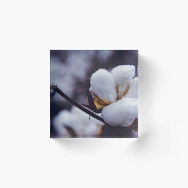 Cotton Acrylic Block