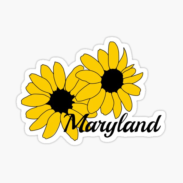 Maryland Flag & Black Eyed Susan Butterfly (Red & White) / Vintage