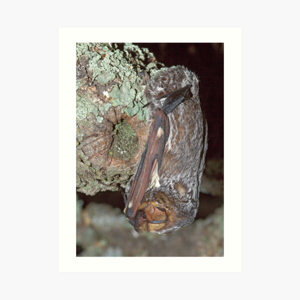 The art of camouflage Art Print
