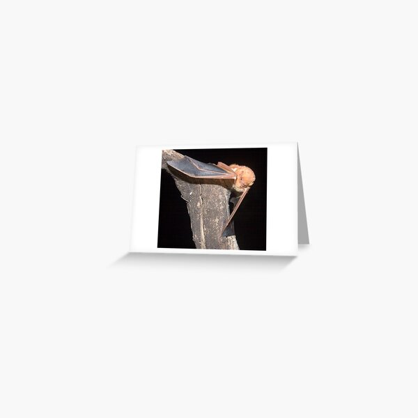 Red bat portrait Greeting Card