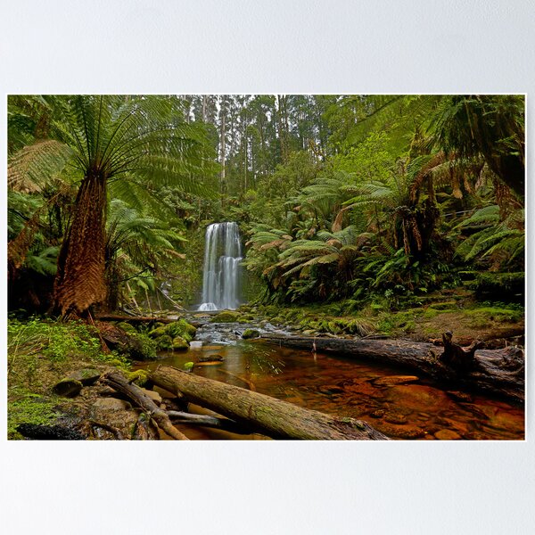 Item preview, Beauchamp Falls, Otway Ranges designed and sold by pablosvista2.